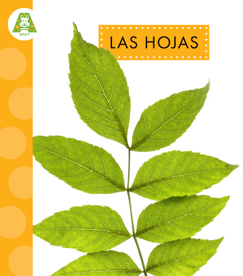 Las hojas (Spanish Edition) by Ana Brauer, 9798896857044