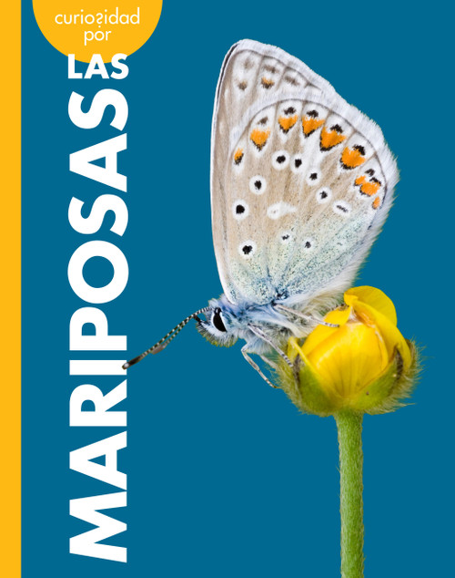 Curiosidad por las mariposas (Spanish Edition) by Deirdre A. Prischmann, 9798896857167