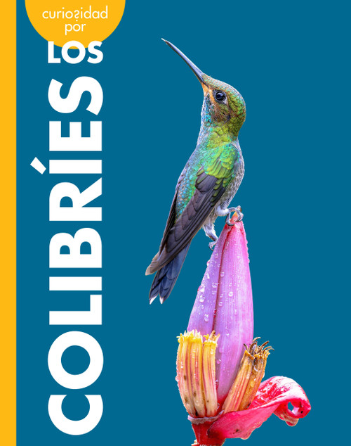 Curiosidad por los colibríes (Spanish Edition) by Mary Bleckwehl, 9798896857181