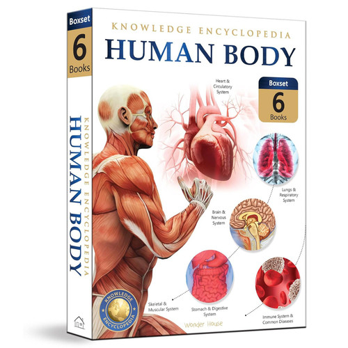Human Body Box Set: Knowledge Encyclopedia For Children by Wonder House Books, 9789390183630
