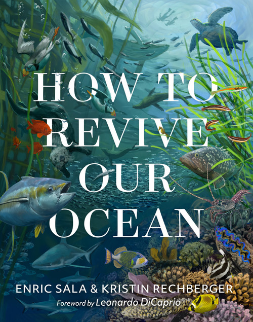 How to Revive Our Ocean by Enric Sala, Kristin Rechberger, 9781426224478