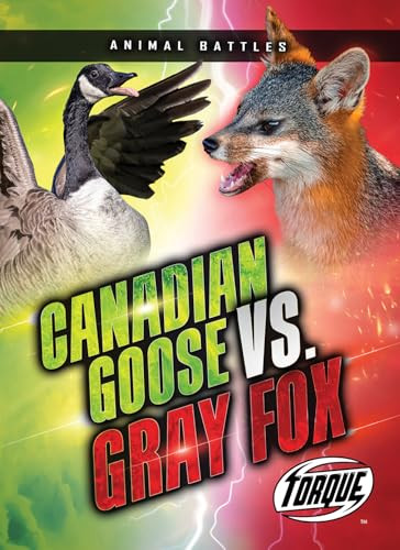 Canada Goose vs. Gray Fox by Nathan Sommer, 9798893048339