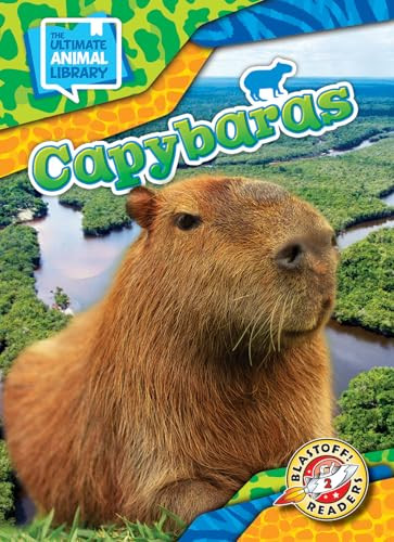 Capybaras by Janie Scheffer, 9798893047905