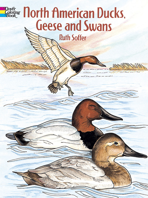 North American Ducks, Geese and Swans Coloring Book by Ruth Soffer, 9780486291659