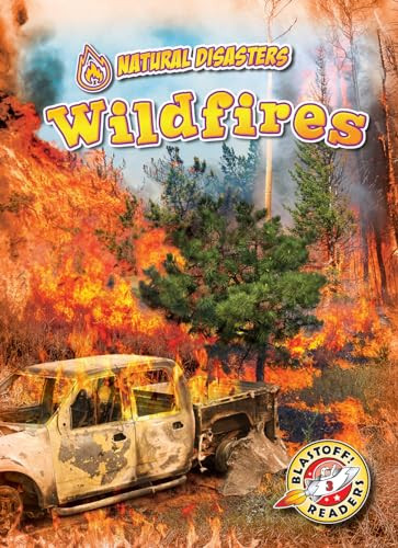 Wildfires by Rebecca Pettiford, 9781644871546