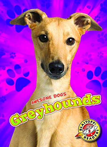 Greyhounds by Lindsay Shaffer, 9781626179080