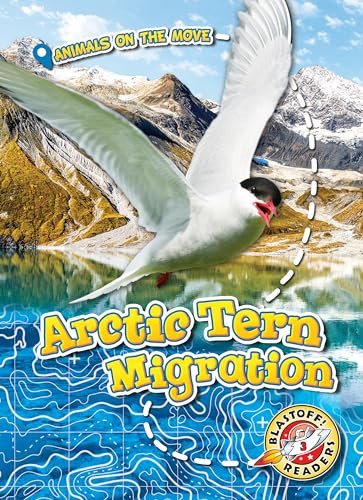Arctic Tern Migration by Kari Schuetz, 9781626178137