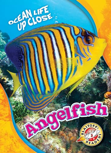 Angelfish by Nathan Sommer, 9781626177642