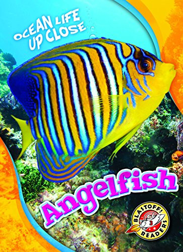 Angelfish by Nathan Sommer, 9781626177642