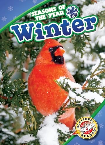 Winter by Rebecca Pettiford, 9781626177635