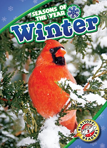 Winter by Rebecca Pettiford, 9781626177635