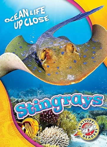Stingrays by Rebecca Pettiford, 9781626174238