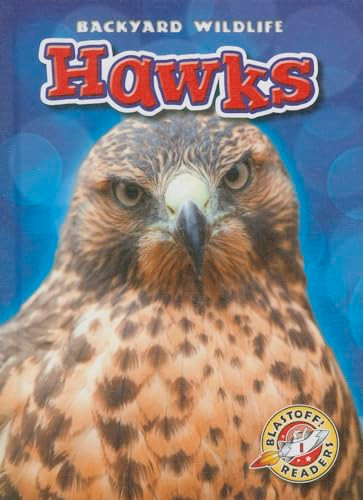 Hawks by Kari Schuetz, 9781626170582