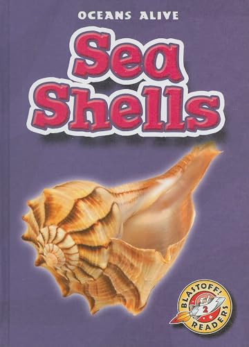 Sea Shells by Shari Skeie, 9781600142086