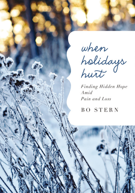 When Holidays Hurt (Finding Hidden Hope Amid Pain and Loss) by Bo Stern, 9781400259243