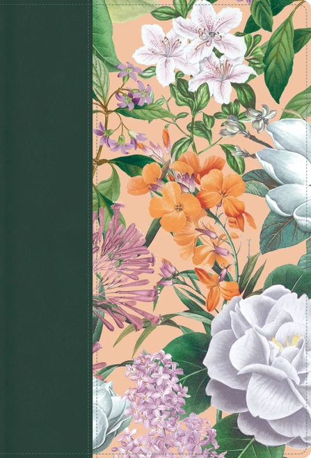 RVR 1960 Letra grande tamaño manual, edición especial, verde jardín, símil piel (Spanish Edition) by B&H Español Editorial Staff, 9798384555476