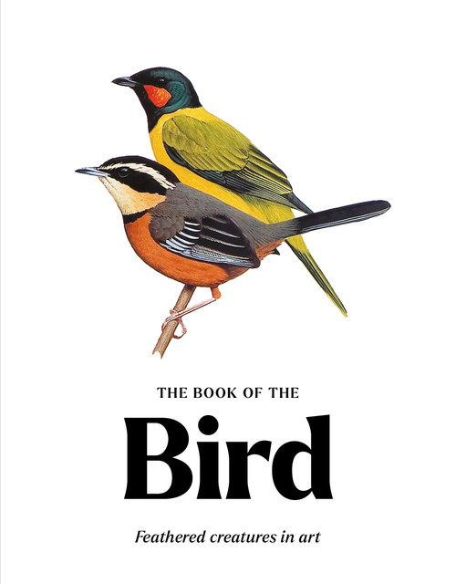 The Book of the Bird (Birds in Art) by Angus Hyland, Kendra Wilson, 9781399647540
