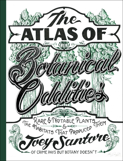 The Atlas of Botanical Oddities (Rare and Notable Plants and the Habitats That Produced Them) by Joey Santore, 9798317902674