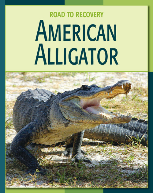 American Alligator by Susan H. Gray, Dr. Harold K. Voris, 9781602790353