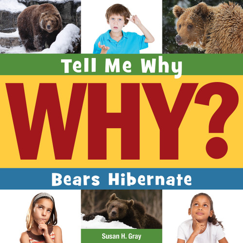 Bears Hibernate by Susan H. Gray, Timothy Cap, 9781631889905