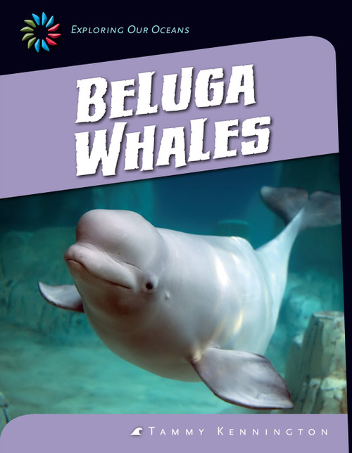 Beluga Whales by Tammy Kennington, 9781624316036