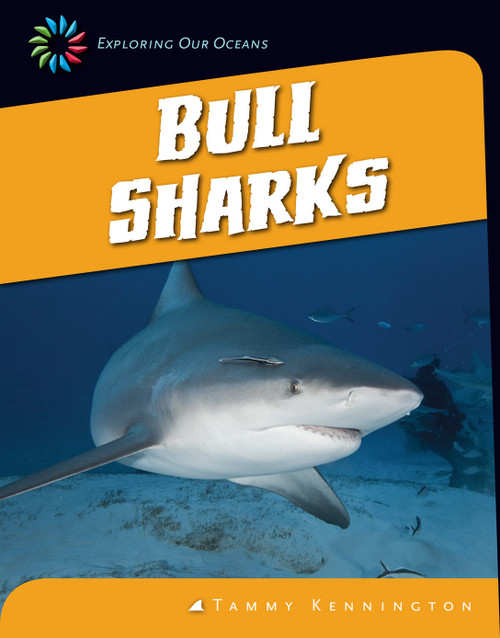 Bull Sharks by Tammy Kennington, 9781624314056
