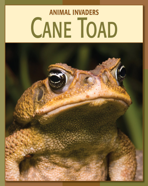 Cane Toad by Barbara A. Somervill, 9781602791152