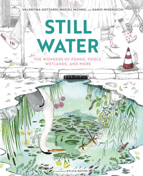 Still Water (The Wonders of Ponds, Pools, Wetlands, and More) by Maciej Michno, Danio Miserocchi, Valentina Gottardi, Sylvia Notini, 9780802856593
