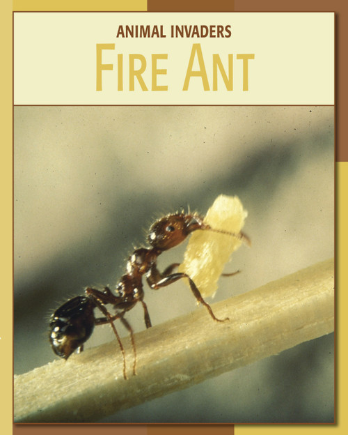 Fire Ant by Barbara A. Somervill, 9781602793286