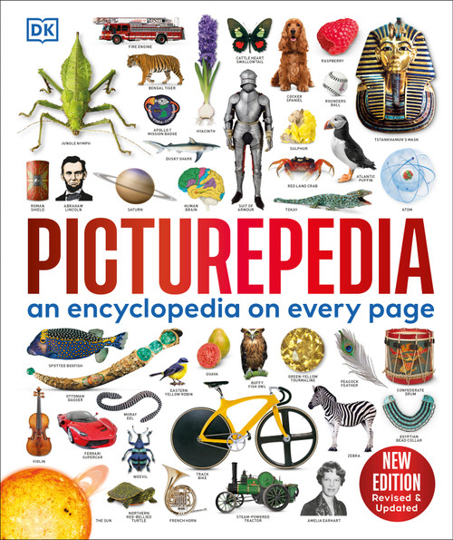 Picturepedia (An Encyclopedia on Every Page) by DK, 9798217497553