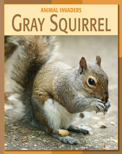 Gray Squirrel by Barbara A. Somervill, 9781602791169