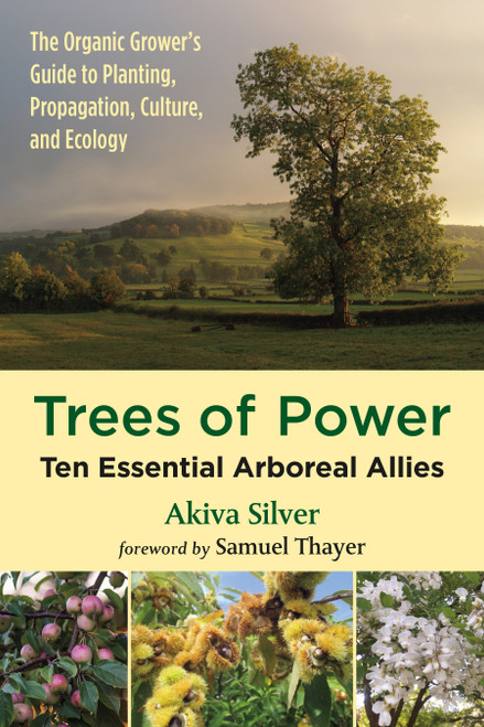 Trees of Power (Ten Essential Arboreal Allies) by Akiva Silver, Samuel Thayer, 9781603588416