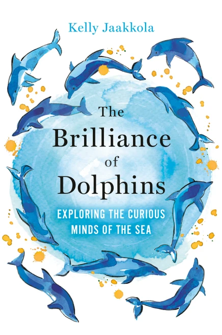 The Brilliance of Dolphins (Exploring the Curious Minds of the Sea) by Kelly Jaakkola, 9780593687062