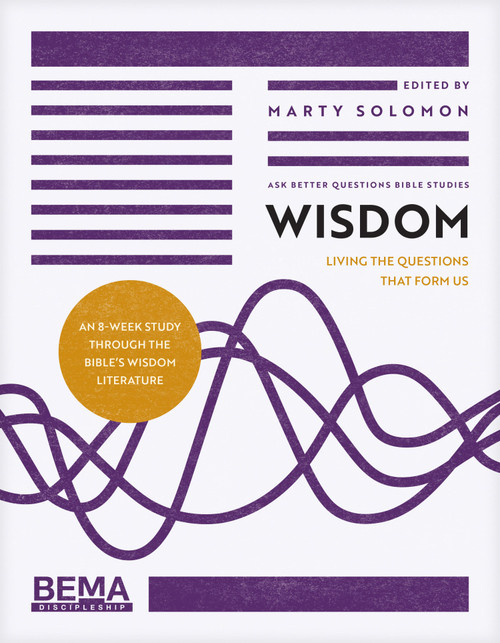 Wisdom (Living the Questions That Form Us) by Marty Solomon, 9798898020682