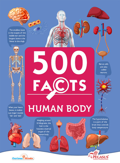 Human Body - 500 Facts (Explore the Wonders of the Human Body) by PEGASUS, 9788131942079