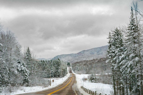 Scenic Driving Vermont (Including Lake Champlain, the Green Mountains, and the Northeast Kingdom) by Tara Schatz, 9781493089352