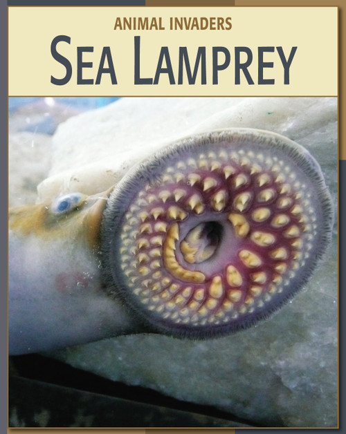 Sea Lamprey by Barbara A. Somervill, 9781602792401