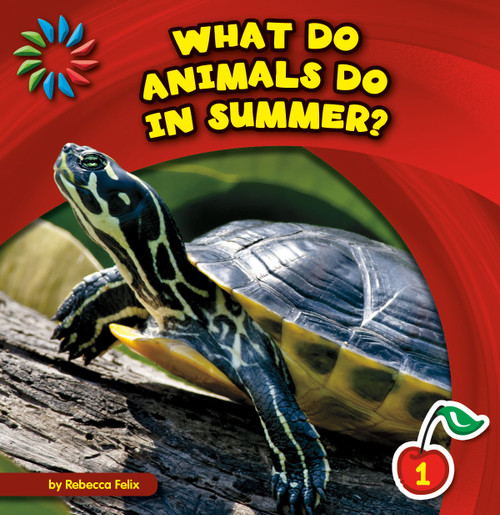 What Do Animals Do in Summer? by Rebecca Felix, Lauren McCullough, 9781631376009