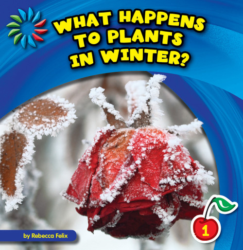 What Happens to Plants in Winter? - 9781631376535 by Rebecca Felix, Lauren McCullough, 9781631376535