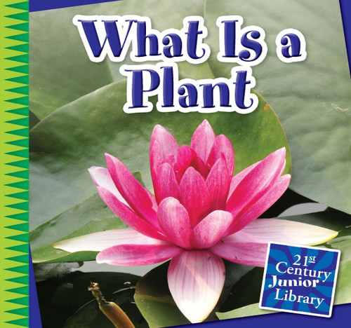 What Is a Plant? by Jennifer Colby, 9781631880421