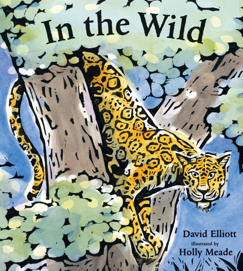 In the Wild - 9780763663377 by David Elliott, Holly Meade, 9780763663377