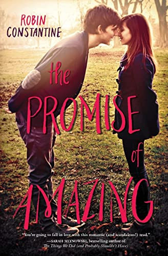 The Promise of Amazing - 9780062279491 by Robin Constantine