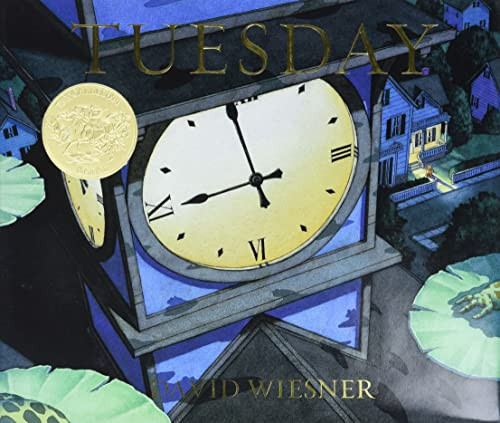 Tuesday (A Caldecott Award Winner) by David Wiesner, 9780395551134