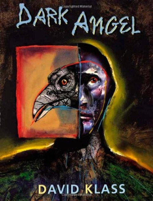Dark Angel (Farrar, Straus and Giroux (BYR)) by David Klass, 9780374399504