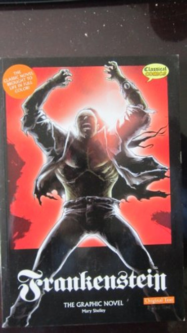Frankenstein The Graphic Novel: Original Text - 9781906332495 by Mary Shelley, 9781906332495