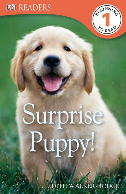 DK Readers L1: Surprise Puppy by Judith Walker-Hodge, 9780756692957