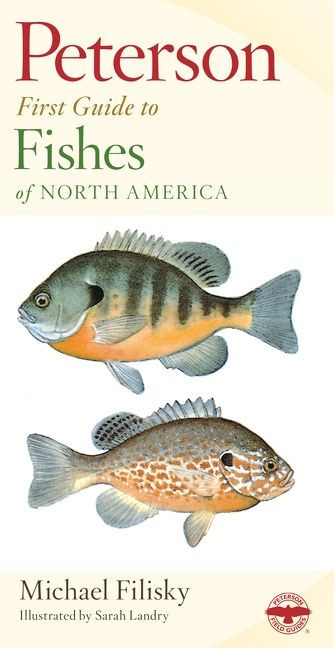 Peterson First Guide To Fishes Of North America by Roger Tory Peterson, Michael Filisky, 9780395911792