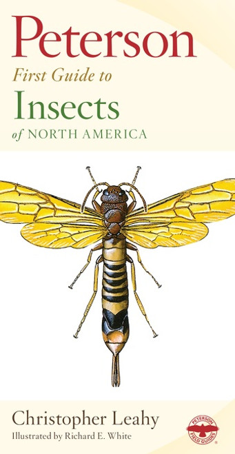 Peterson First Guide To Insects Of North America by Richard E. White, 9780395906644