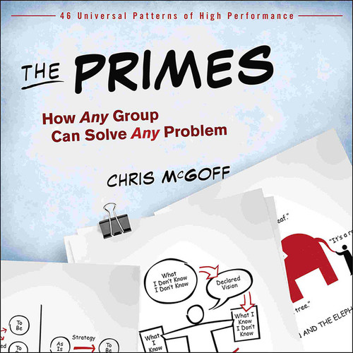 The Primes (How Any Group Can Solve Any Problem) by Chris McGoff, 9781118173275