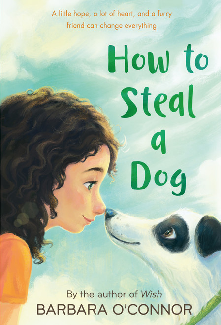 How to Steal a Dog (A Novel) by Barbara O'Connor, 9780312561123